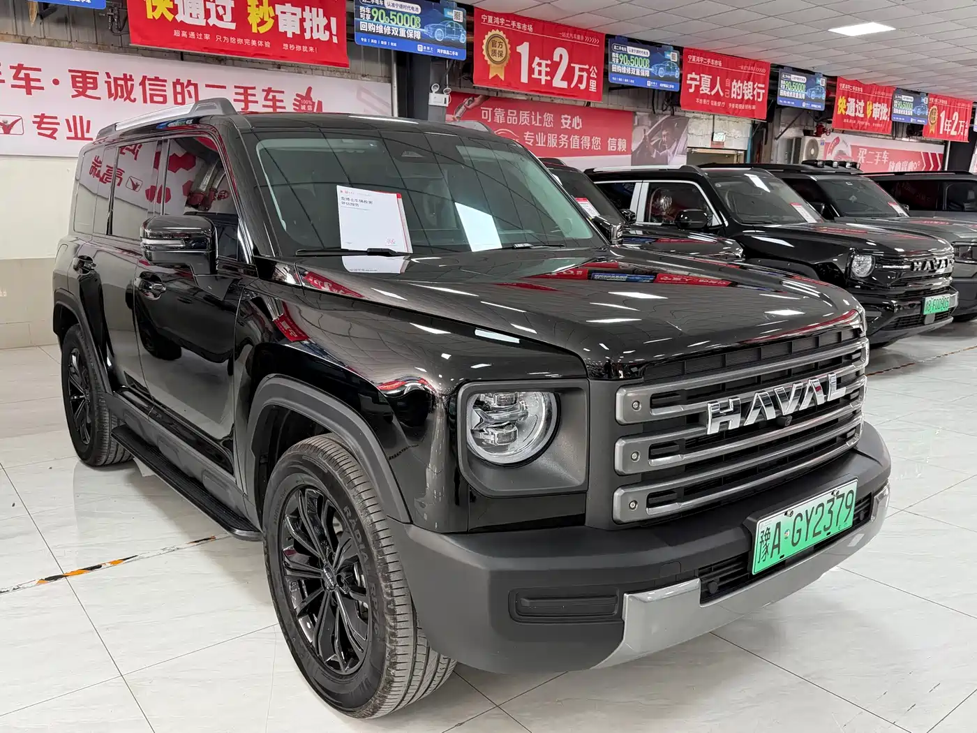 HAVAL RAPTORS NEW ENERGY