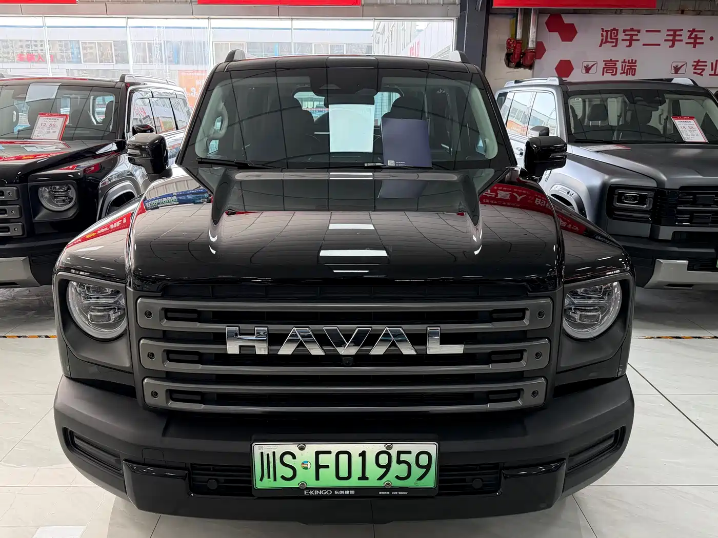HAVAL RAPTORS NEW ENERGY