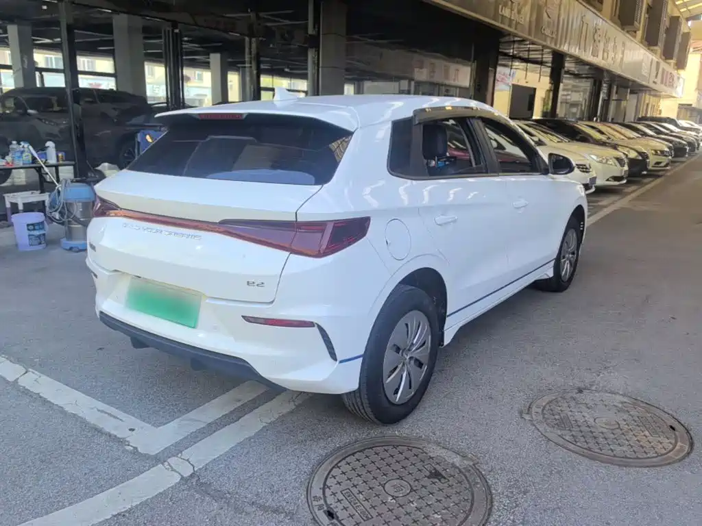 Фото 7 - BYD e2