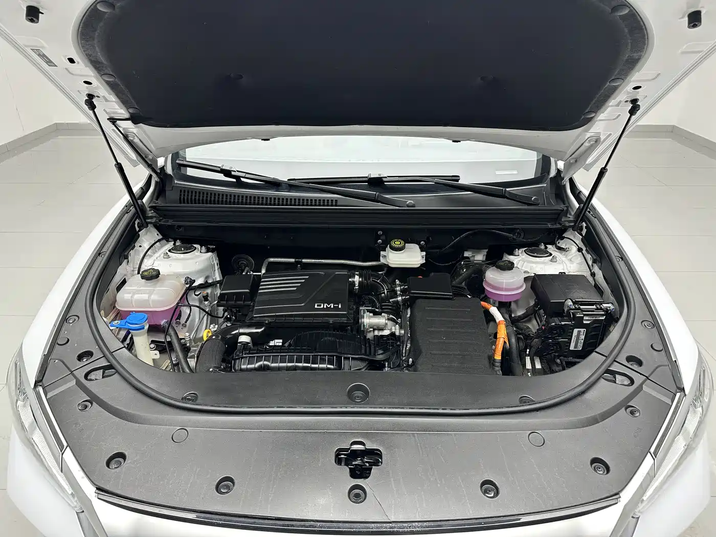 BYD Song Pro New Energy 2024 Glory Edition DM-i 71KM Pilot фото 18