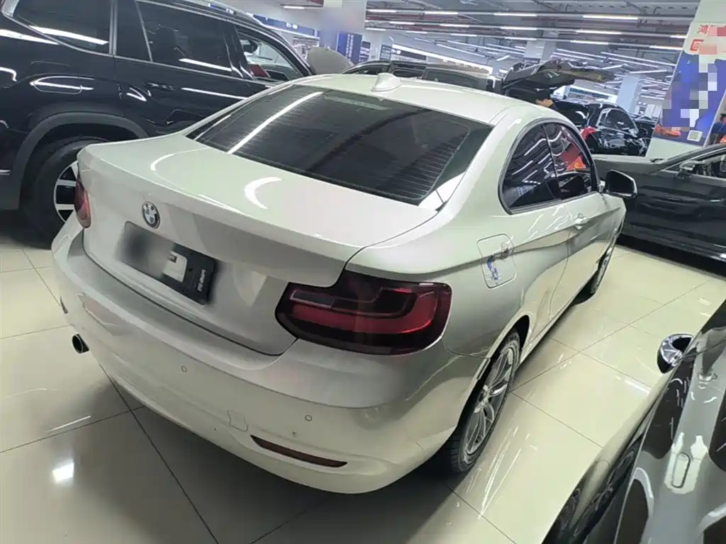 BMW 2 Series (Import) 2015 218i фото 7