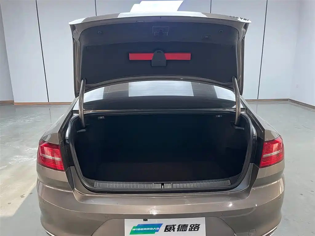 Volkswagen Magotan 2018 330TSI DSG Luxury фото 25