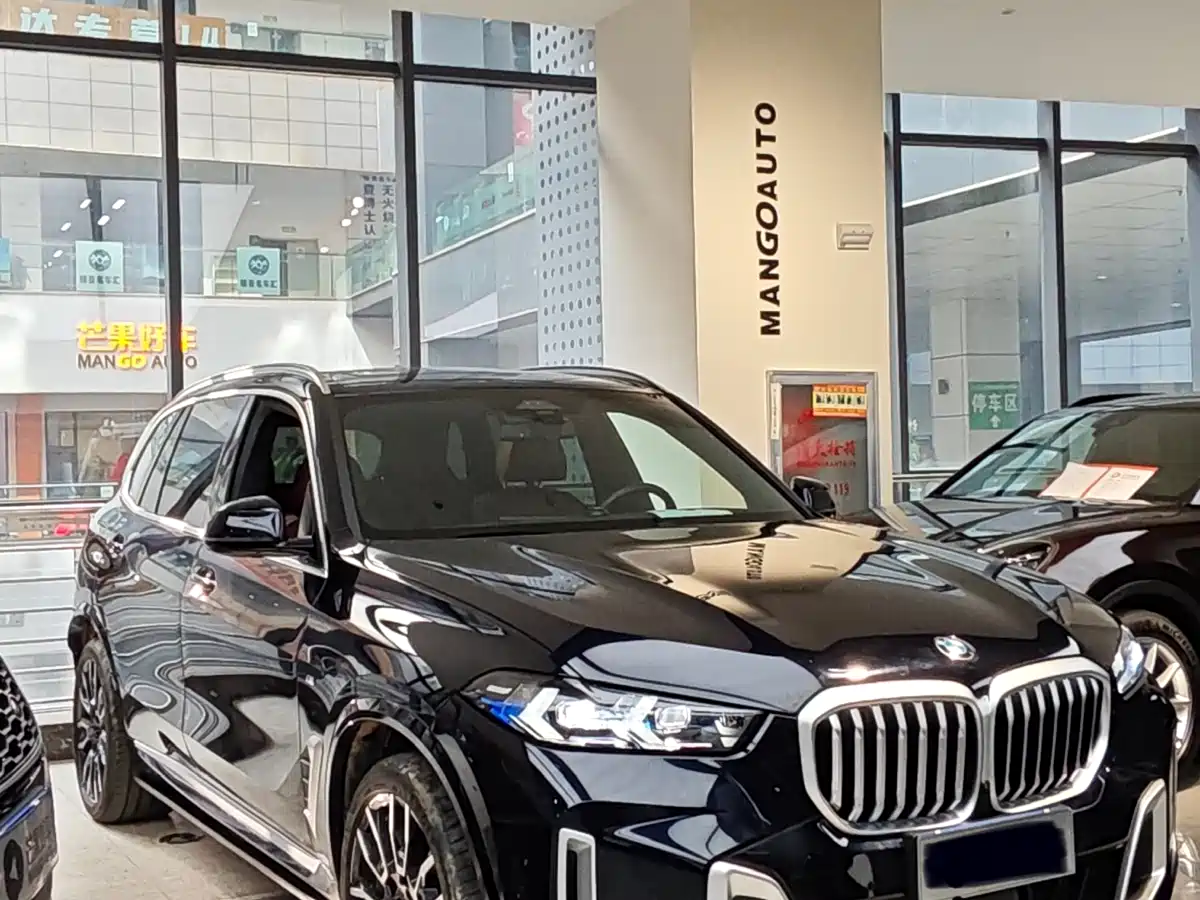BMW X5 2023 xDrive 40Li M Sport Black Night Package фото 3