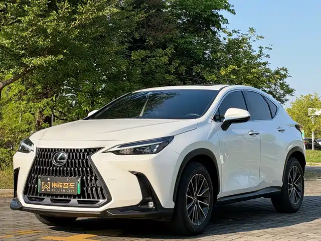 Lexus NX New Energy
