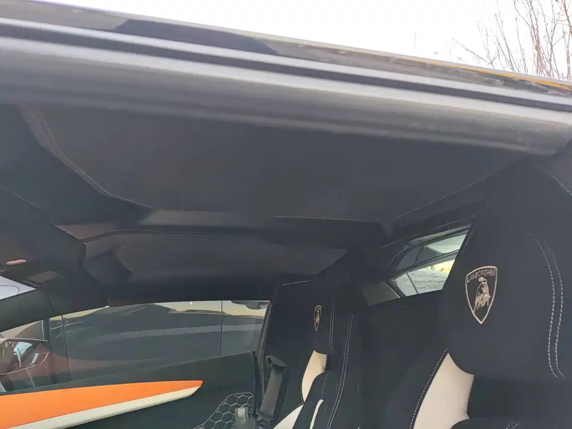 Lamborghini Aventador 2013 LP 700-4 Roadster фото 10