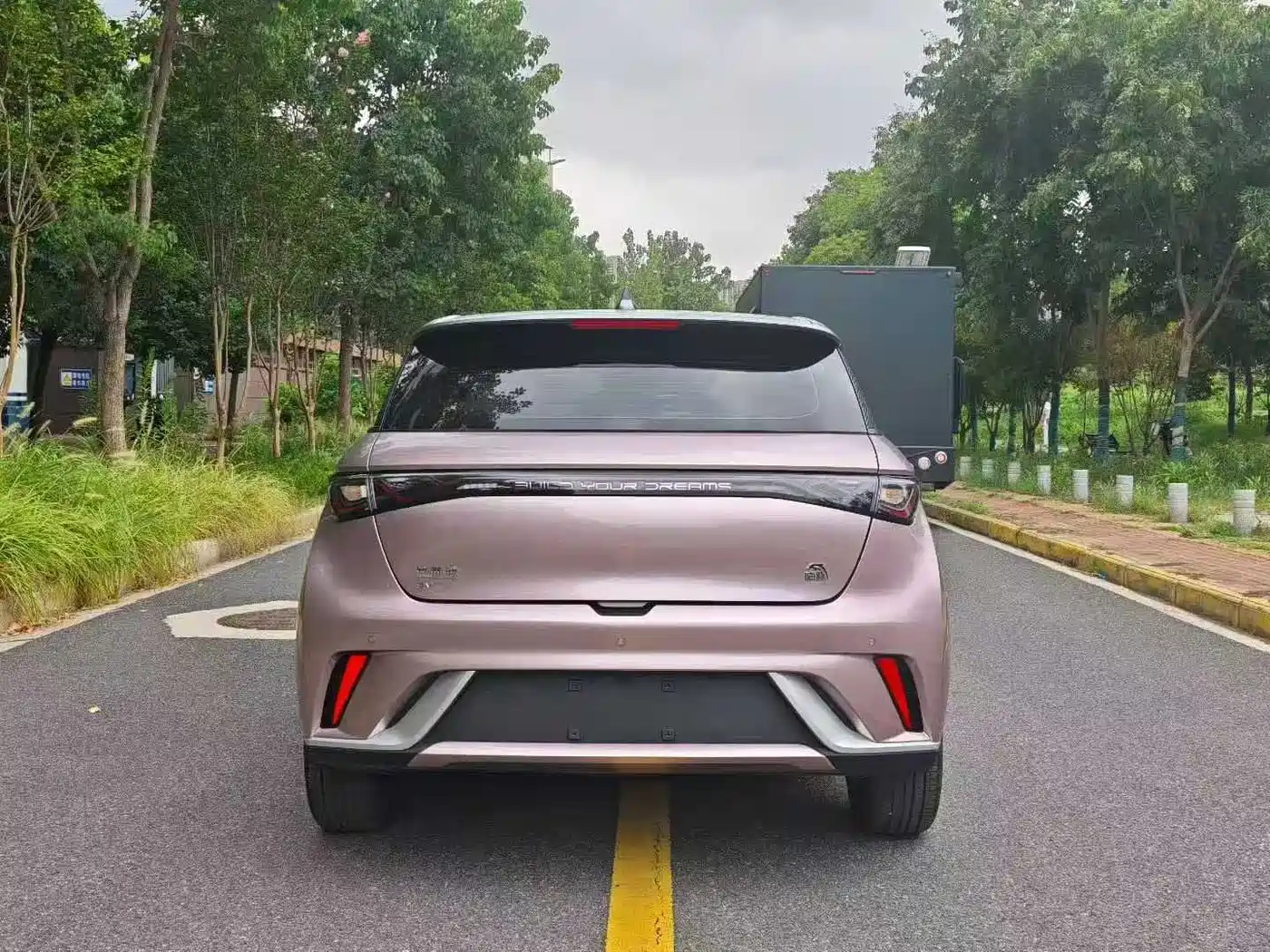 BYD Dolphin 2021 Model 405km Fashion Edition фото 8