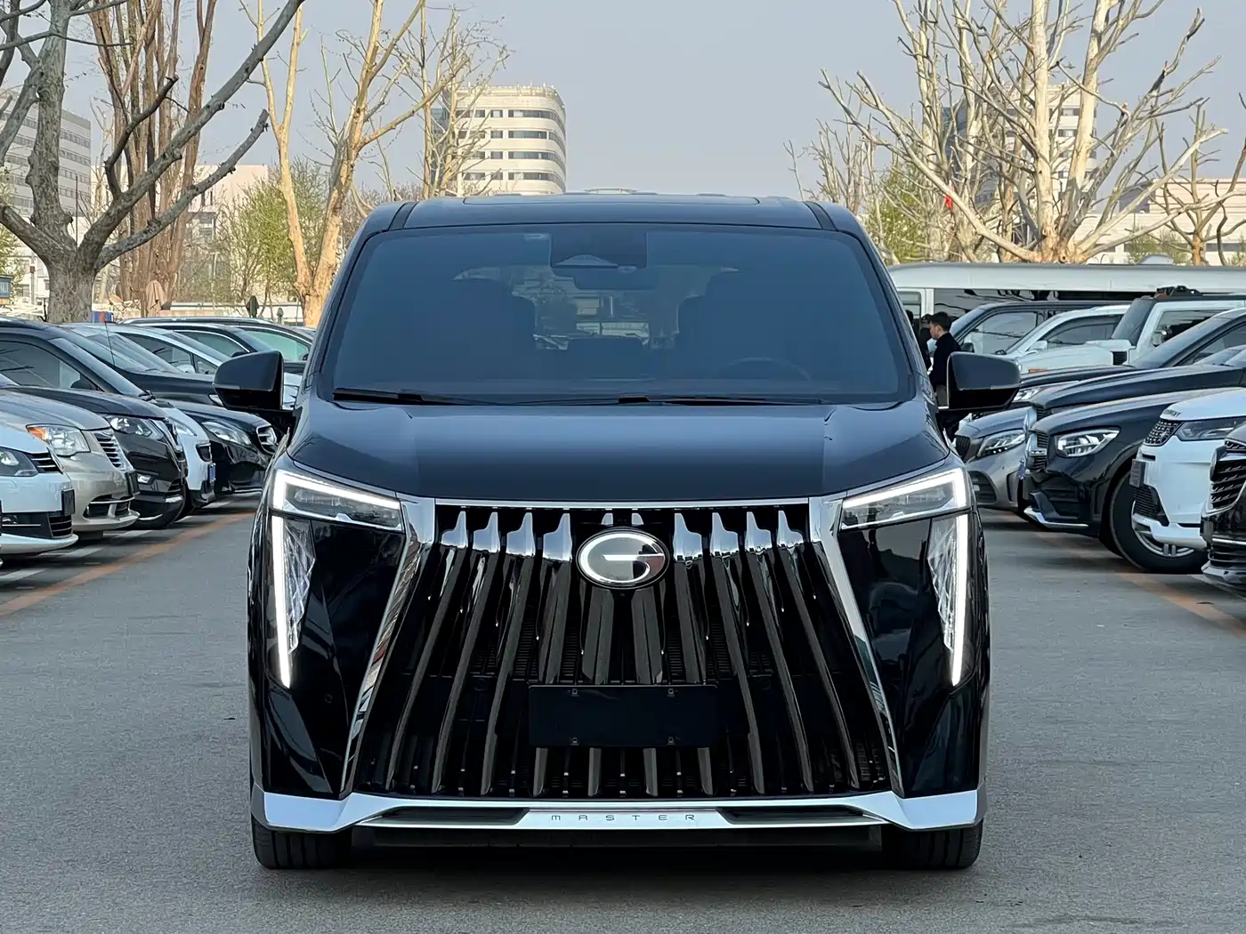 GAC Trumpchi Trumpchi M8 2023 Model Master Series Hybrid Royal Edition фото 2