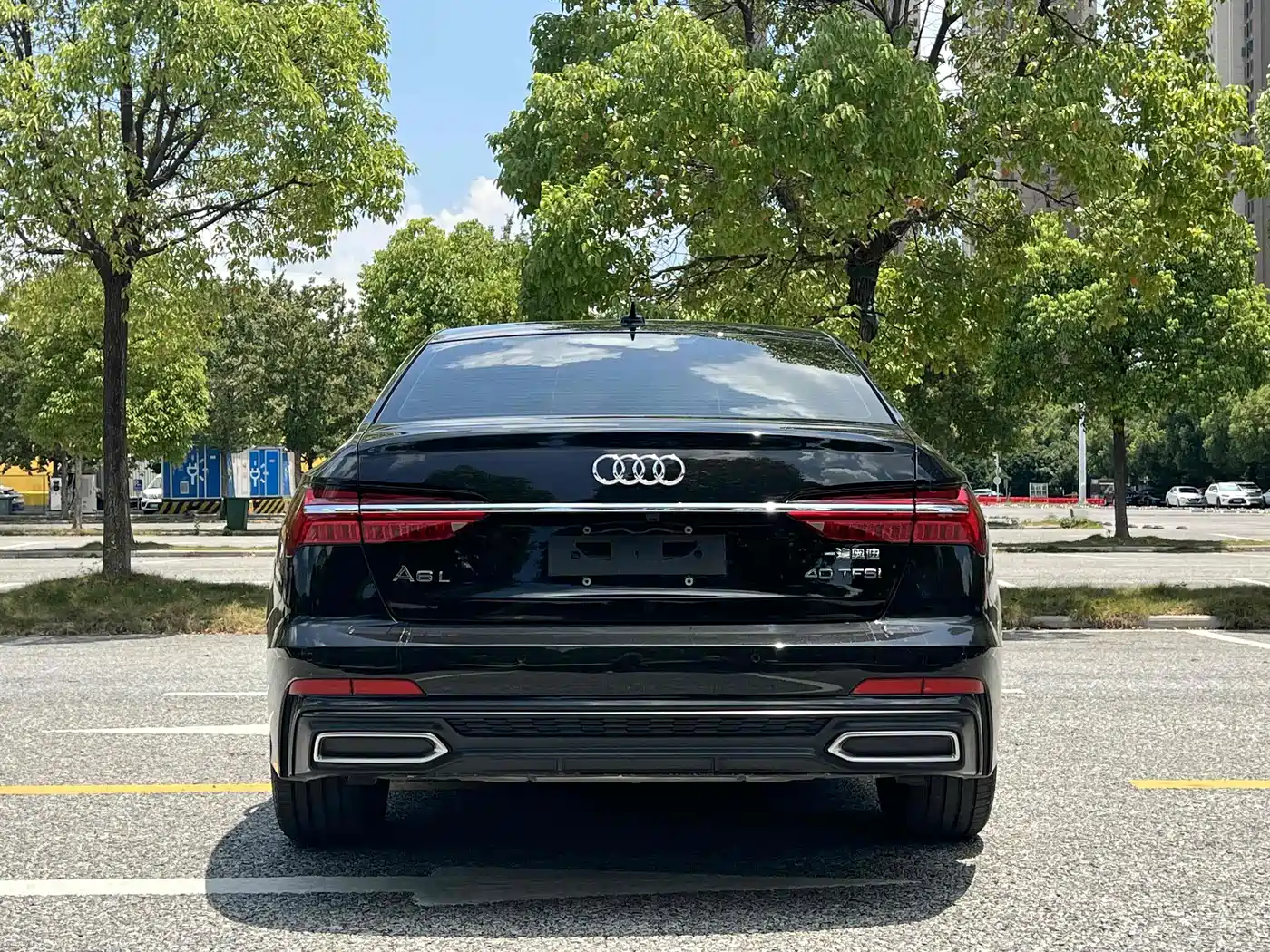 Audi A6L 2021 40 TFSI Luxury Sport фото 15