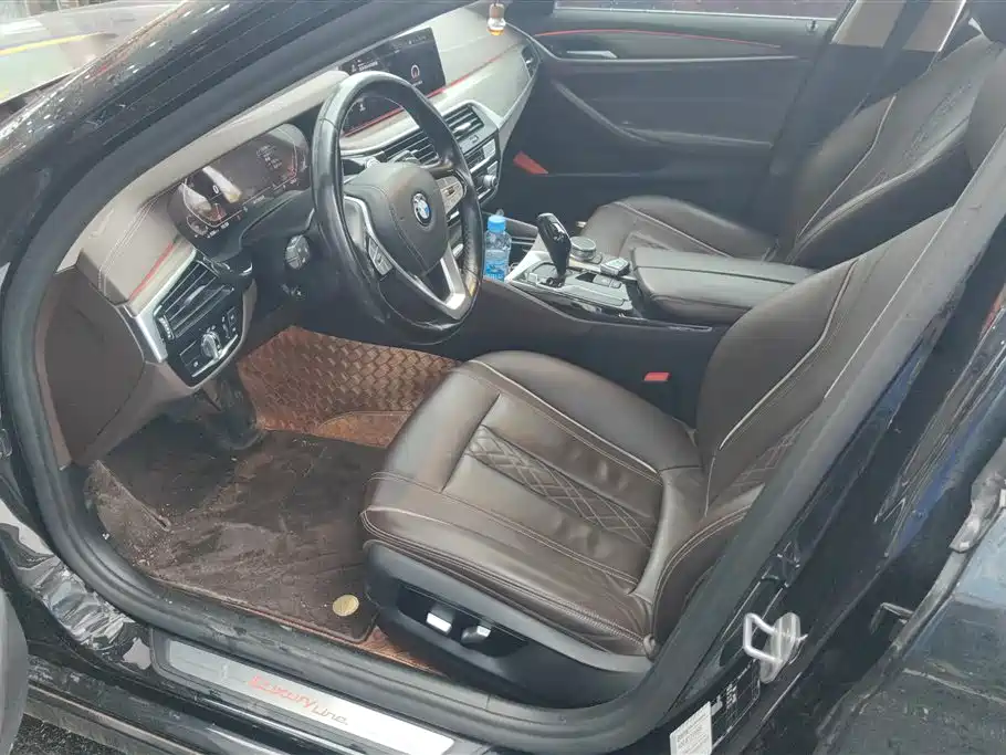 BMW 5 Series 2020 530Li Leading M Sport Package фото 9
