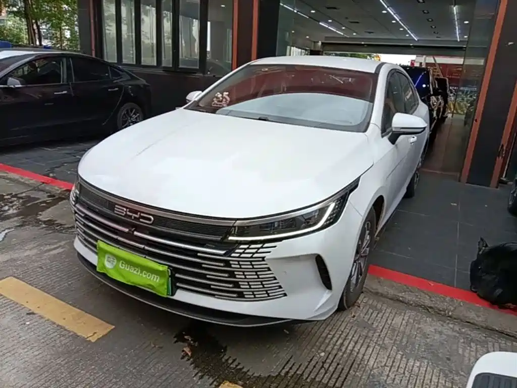 BYD Destroyer 05 2024 Glory Edition DM-i 55KM Luxury фото 2