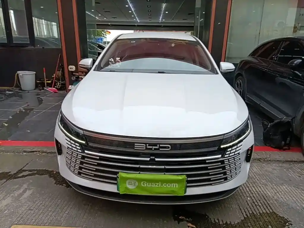 BYD Destroyer 05 2024 Glory Edition DM-i 55KM Luxury фото 3