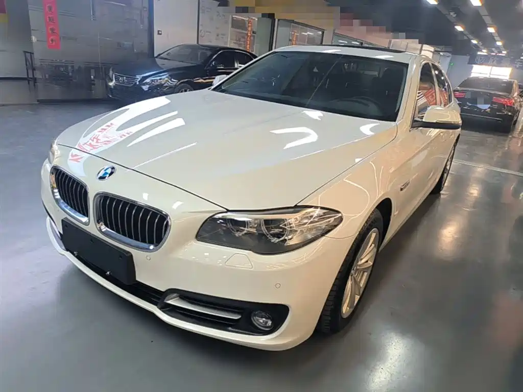 BMW 5 Series (Import) 2015 520i Elegance фото 2