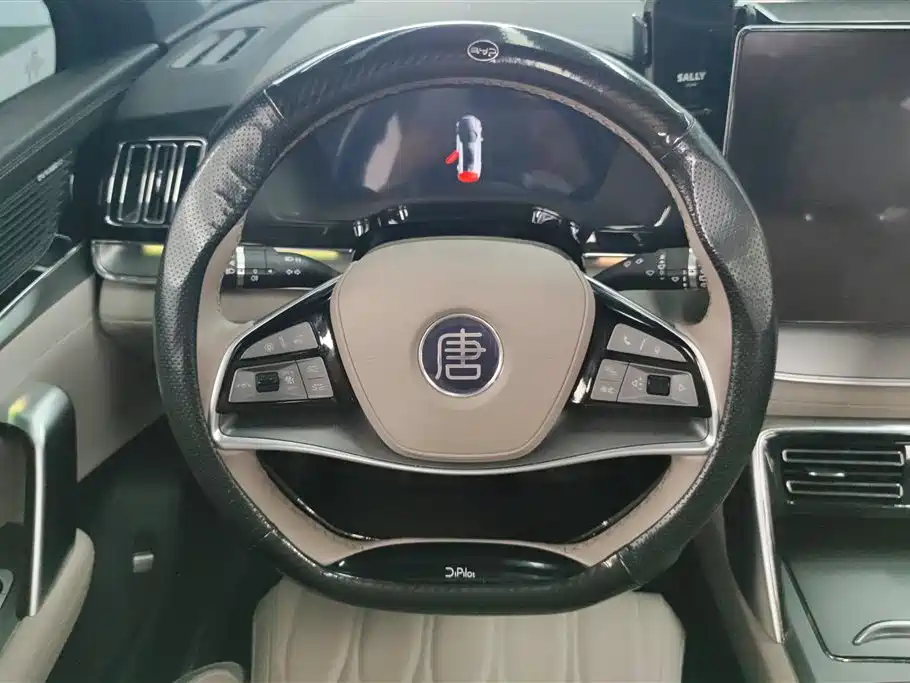 BYD Tang New Energy 2024 Model DM-i Glory Edition 112KM Flagship Type фото 15