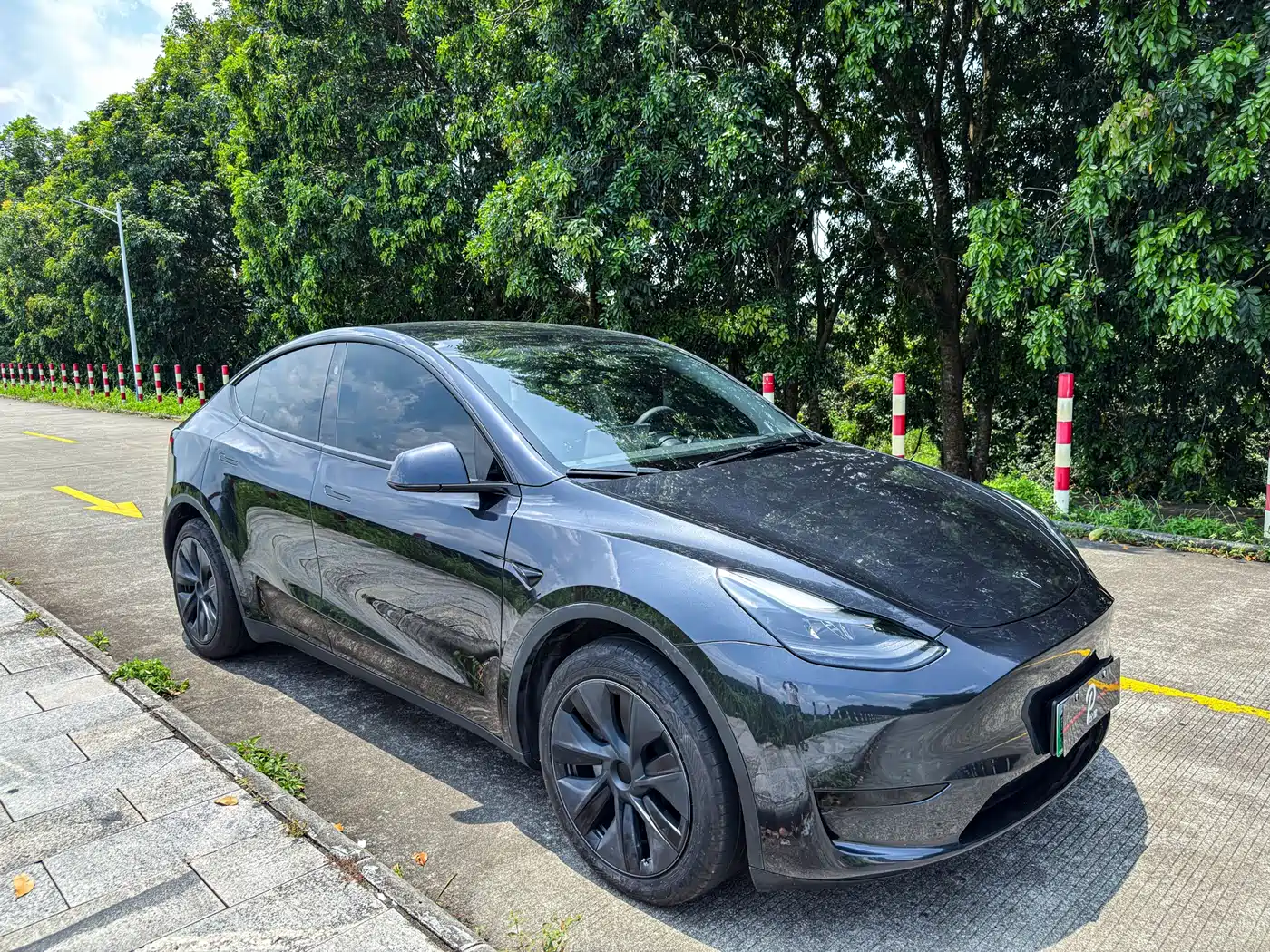 TESLA MODEL Y