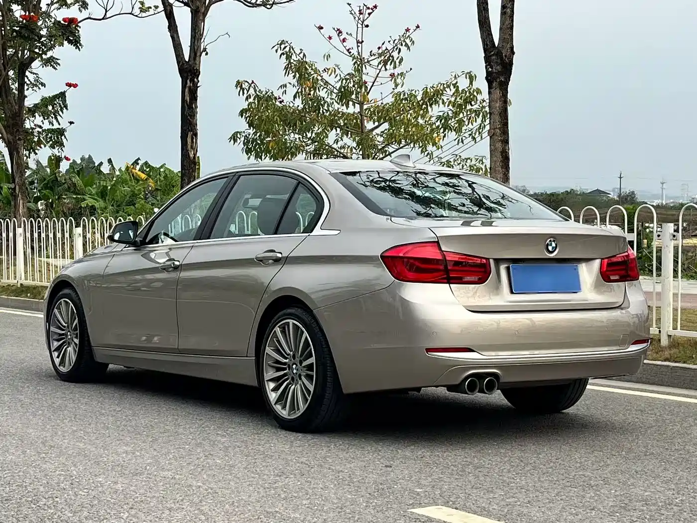 BMW 3 Series 2019 320Li Fashion Type фото 5