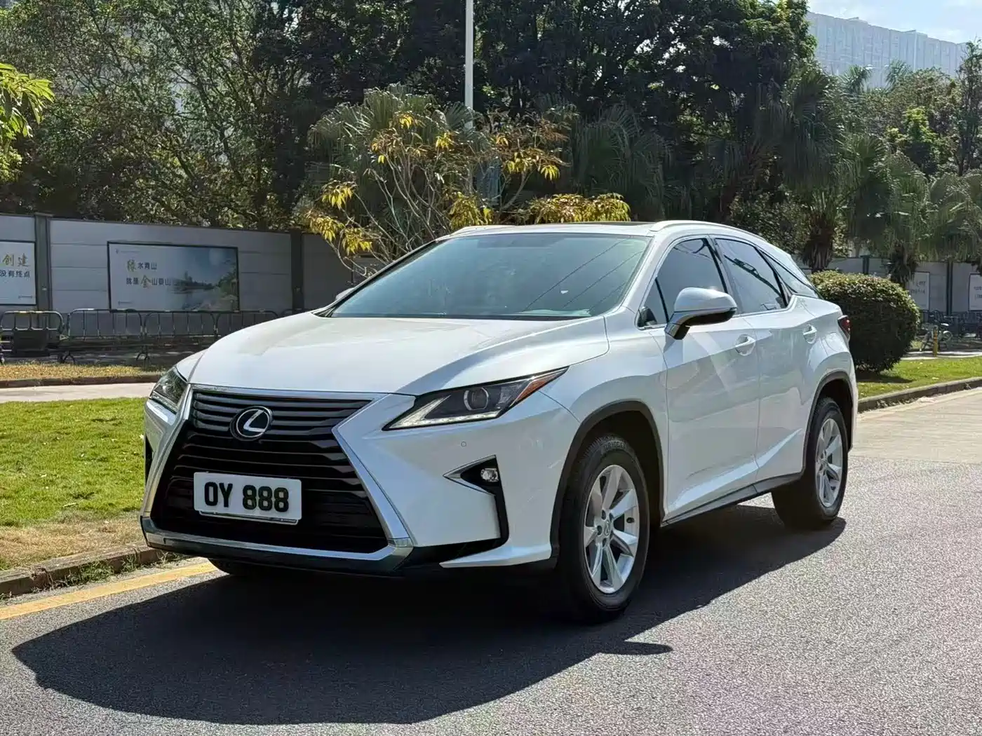 LEXUS RX