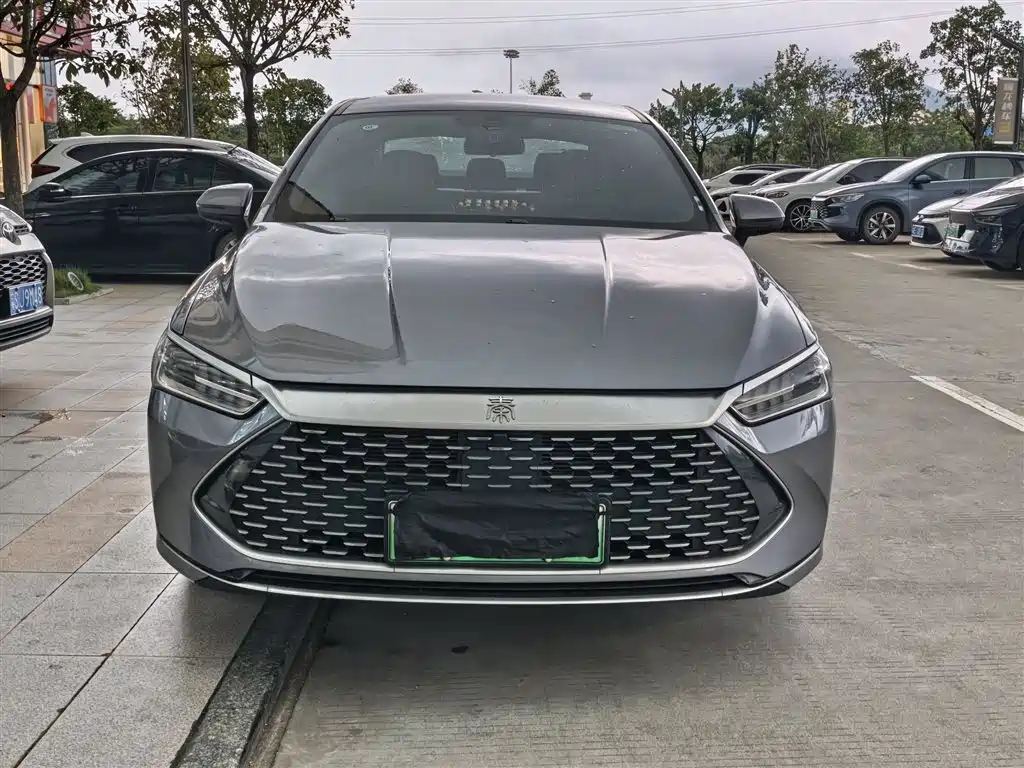 BYD Qin PLUS 2024 Glory Edition DM-i 55KM Leading фото 2