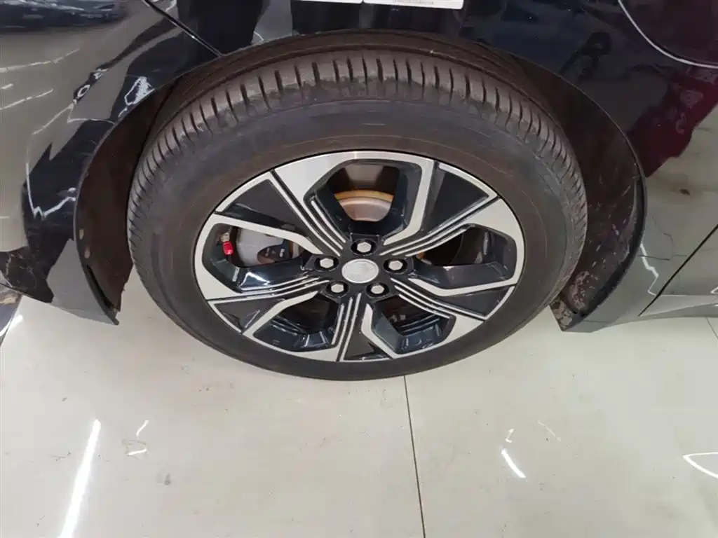 Hongqi E-QM5 2023 Basic Travel Edition фото 23