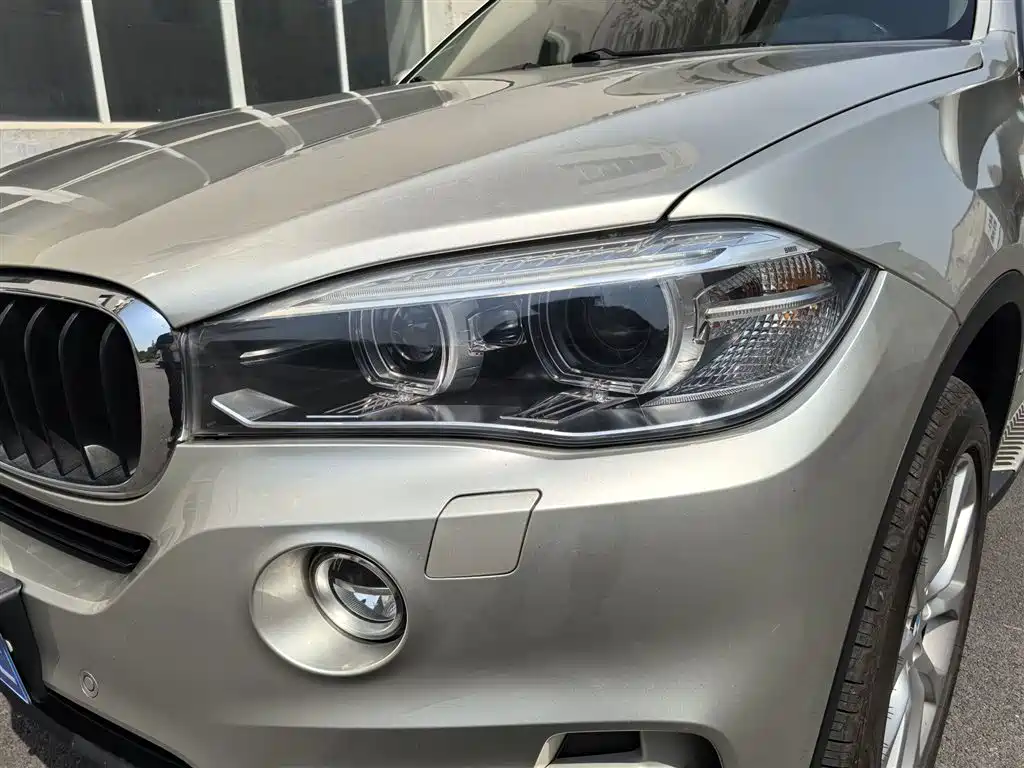 BMW X5 (Import) 2014 xDrive35i Elegance фото 4