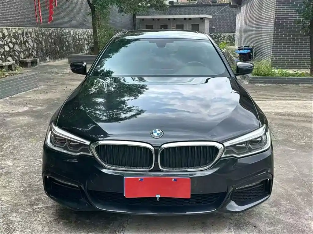 BMW 5 Series 2018 525Li M Sport Package фото 2