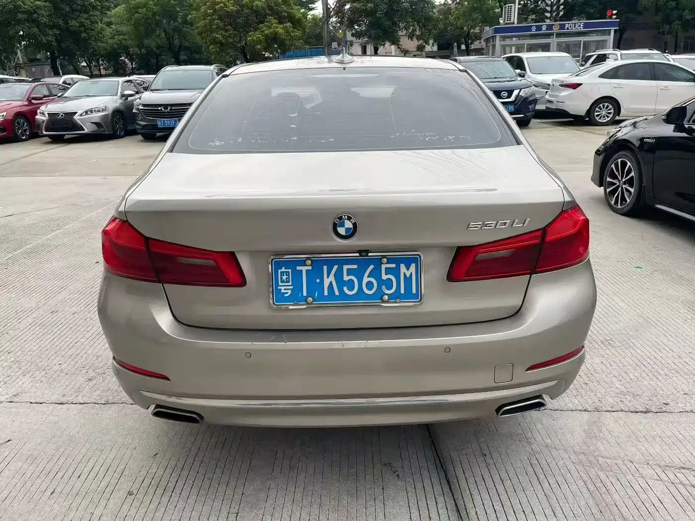 BMW 5 Series 2019 530Li Leading Luxury Package фото 5