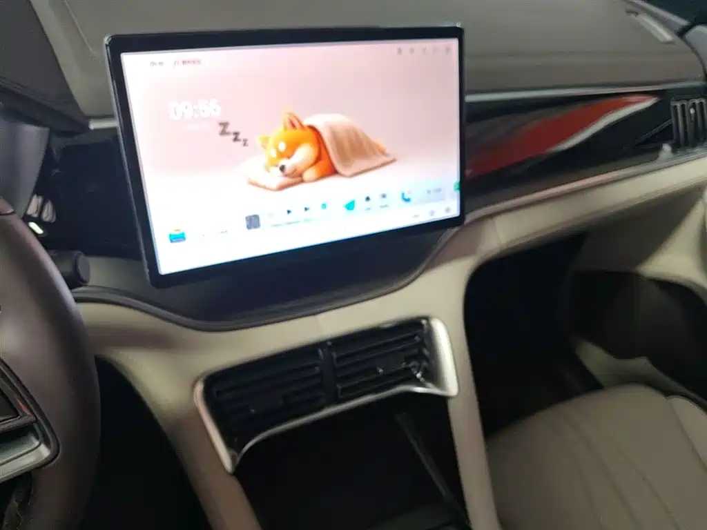 BYD Song PLUS PHEV 2025 DM-i 112KM Premium фото 13