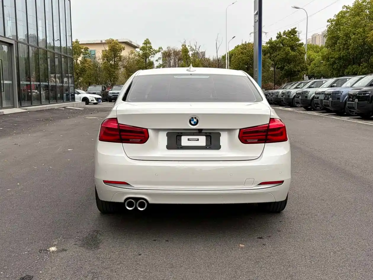 BMW 3 Series 2019 320Li Fashion Type фото 8