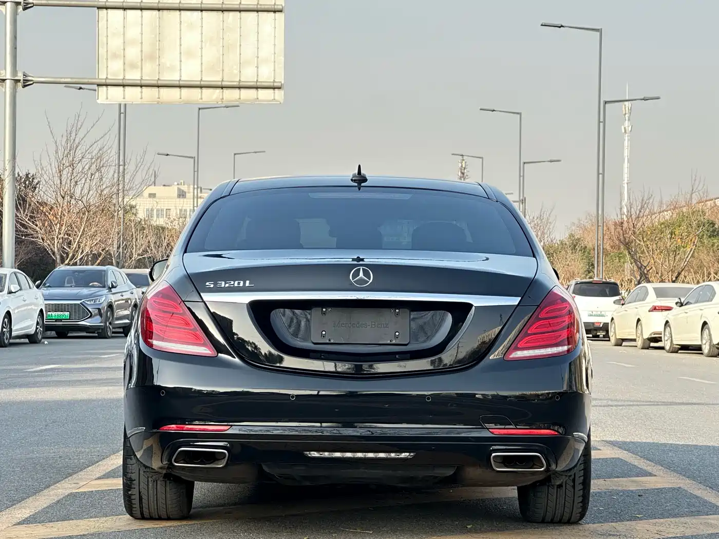 Mercedes-Benz S-Class 2014 S 320 L Business фото 9