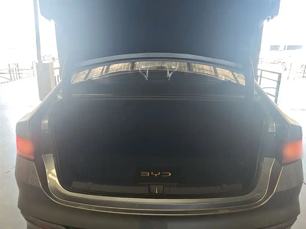BYD Qin PLUS 2024 Glory Edition EV 420KM Leading фото 19