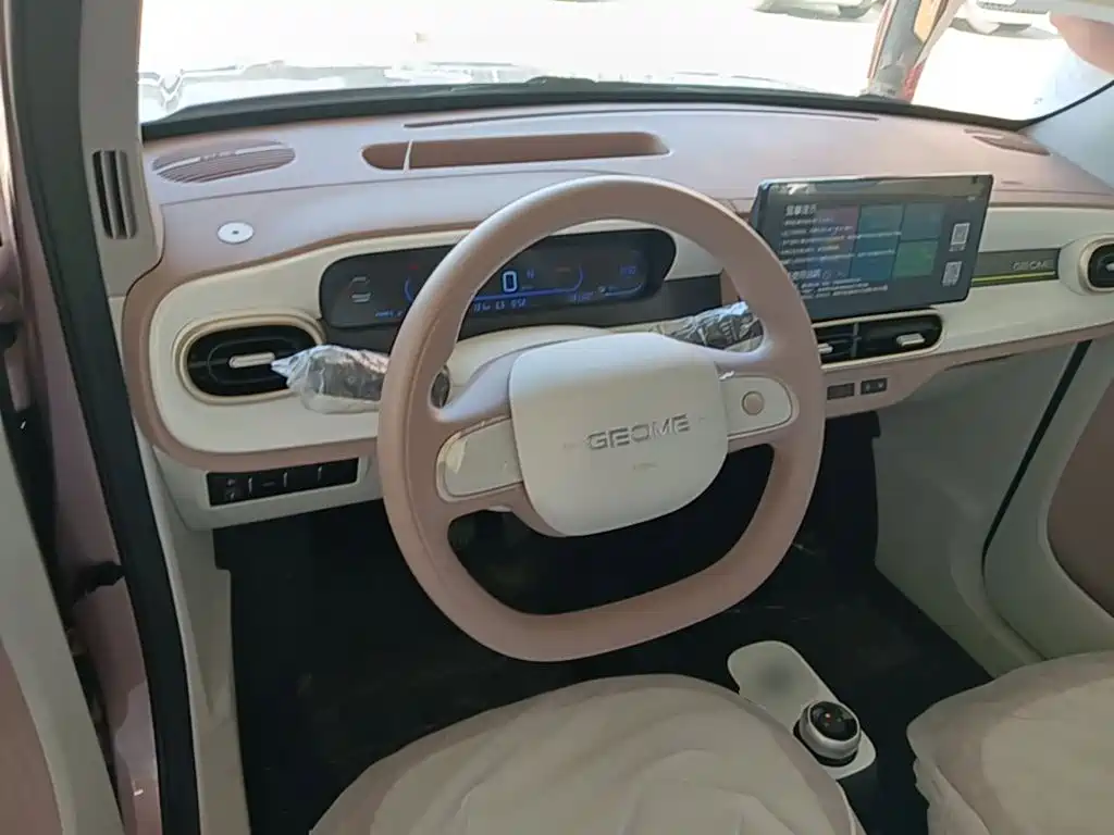 Geely Galaxy Panda 2026 2025 Panda mini 210km Vitality Bear