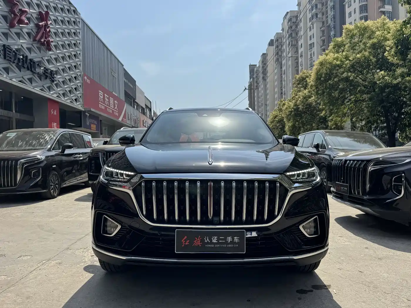 Hongqi HS5 2022 2.0T Smart Connect Premium Edition фото 2