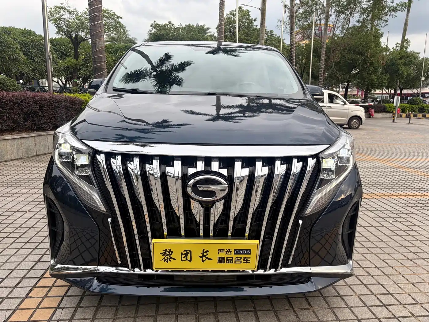 GAC Trumpchi Trumpchi M8 2021 Master Series 390T Prestige Edition фото 2