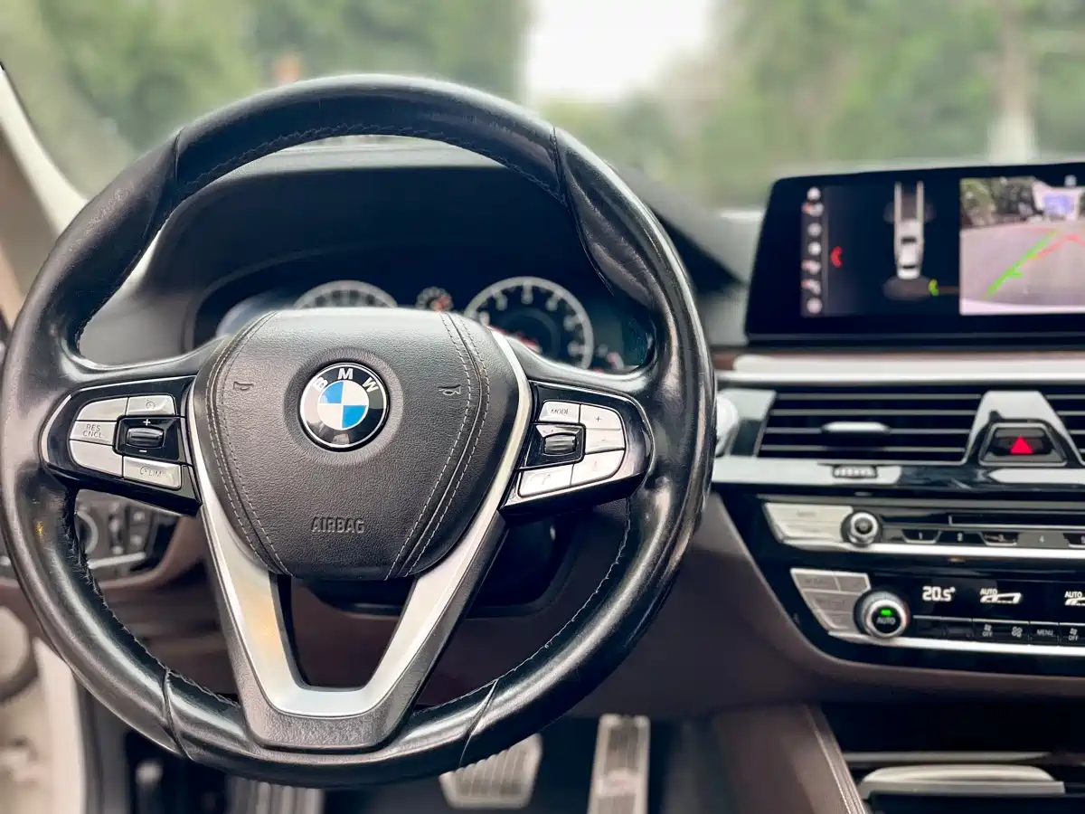 BMW 5 Series 2019 Facelift 525Li Luxury Package фото 32
