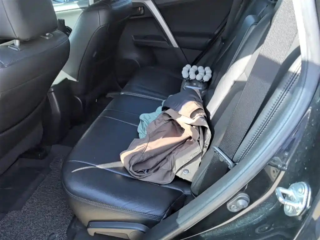 Toyota RAV4 Rongfang 2015 2.0L CVT 2WD Trend Edition фото 17