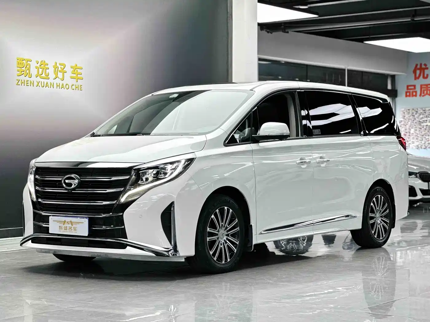 GAC Trumpchi M8 2021 Leading Show Series 390T Ultimate Edition