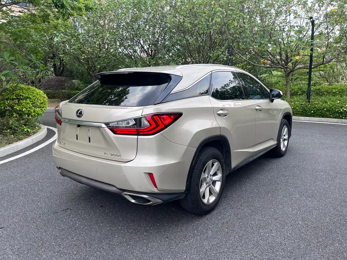 LEXUS RX