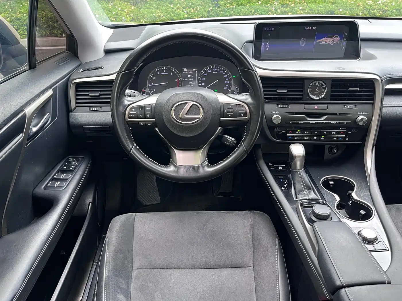 LEXUS RX