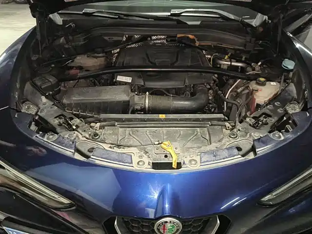 Alfa Romeo Stelvio 2017 2.0T 200HP Elite — фото 3