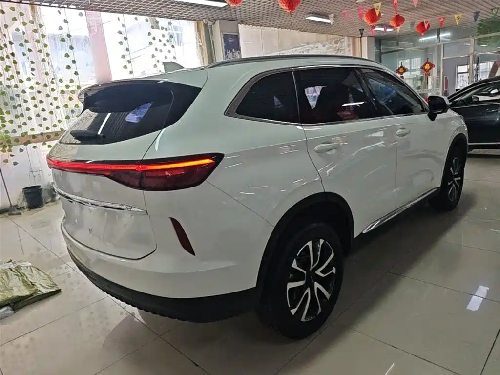 Haval H6 2022 3rd Gen 1.5T Auto 2WD Max фото 7