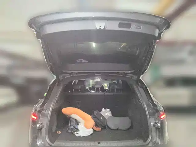 Voyah Auto VOYAH FREE 2025 318 318km RWD Touring Edition — фото 5
