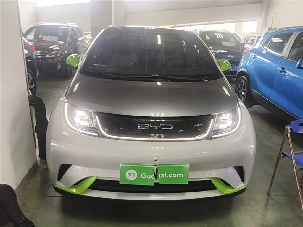 BYD Dolphin 2021 Model 405km Fashion Edition фото 3