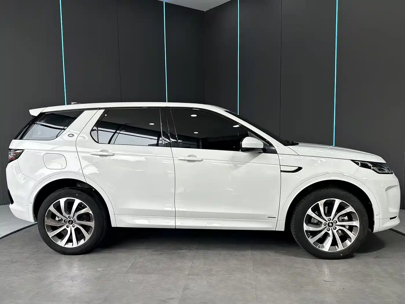 Land Rover Discovery Sport PHEV 2021 P300e Performance Tech Edition фото 4