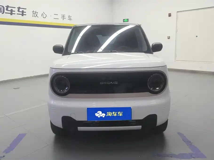 Geely Galaxy Panda 2023 Panda Mini 200km Endurance Bear фото 2