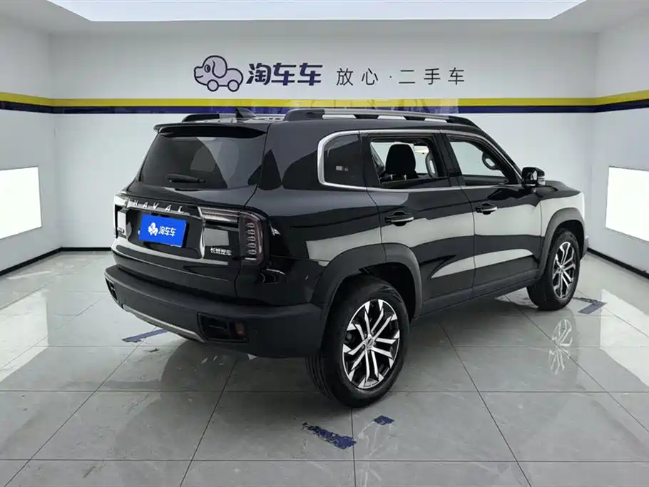Haval Big Dog 2021 1.5T DCT 2WD Border Collie Edition фото 3