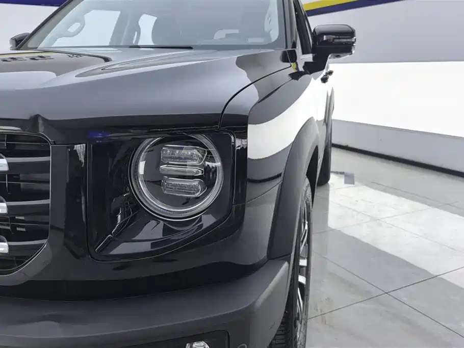 Haval Big Dog 2021 1.5T DCT 2WD Border Collie Edition фото 5