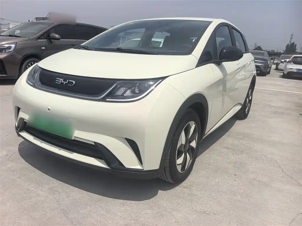 BYD Dolphin 2025 420km Freedom Edition фото 2