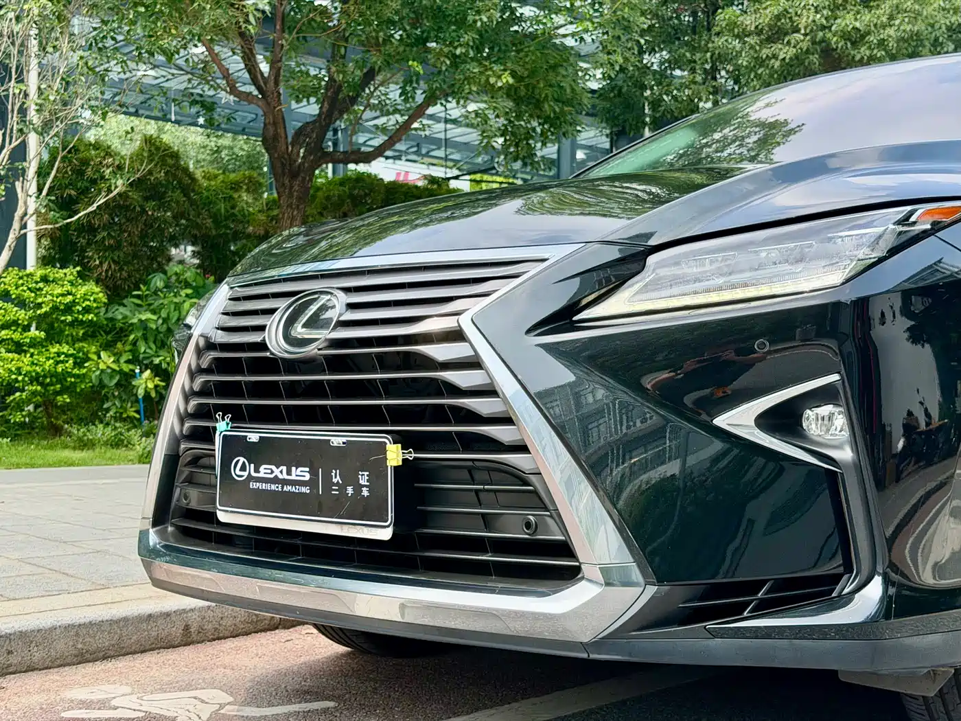 LEXUS RX