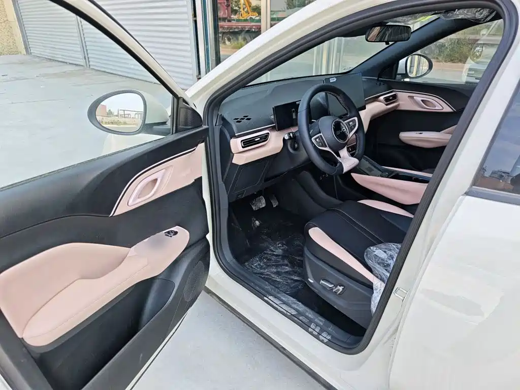 BYD Seagull 2026 2025 Smart Drive Edition 305km Freedom Version