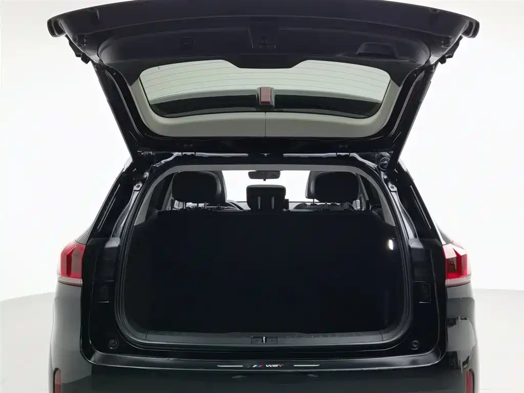 WEI PAI WEI BRAND VV6