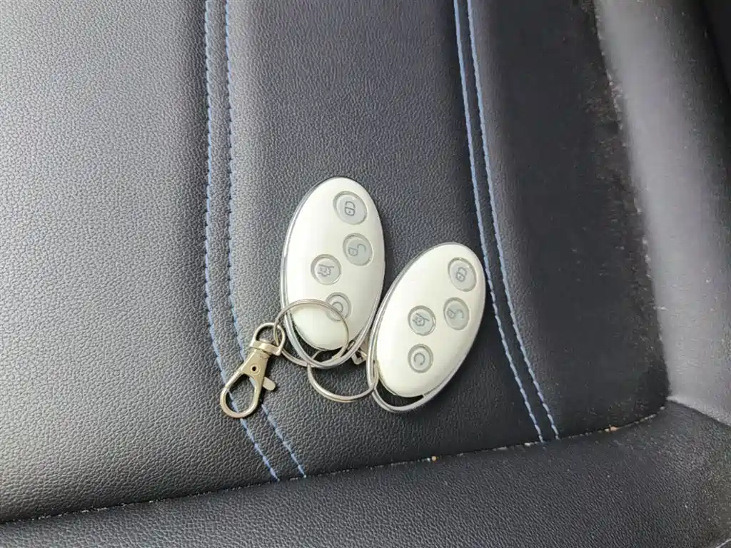 BYD Yuan New Energy 2019 EV360 Smart Connect Premium Edition фото 9